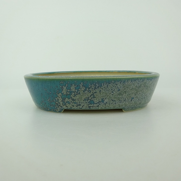 【中古】盆栽鉢 青香 小型 長辺 約 14.8cm 楕円鉢 釉薬 現品 中古鉢 送料無料｜盆栽はニわ 店