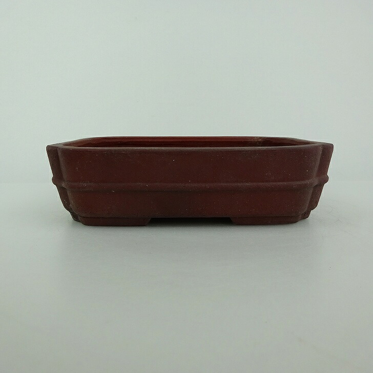 【中古】盆栽鉢 青香 小型 長辺 約 14.7cm 長方鉢 隅入 中帯 泥物 現品 中古鉢 送料無料