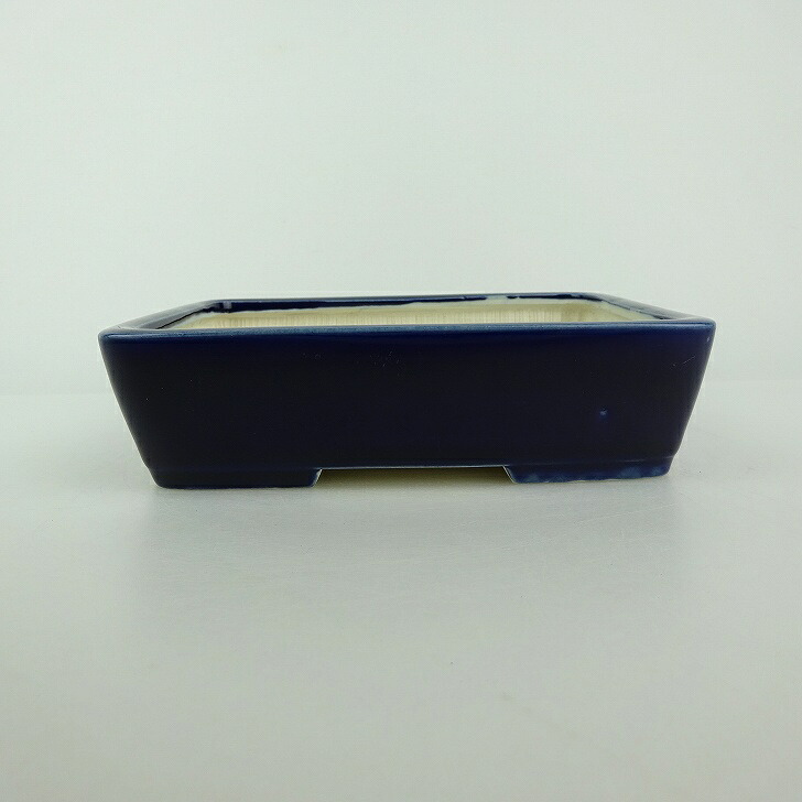【中古】盆栽鉢 青香 小型 長辺 約 14.5cm 長方鉢 釉薬 現品 中古鉢 送料無料