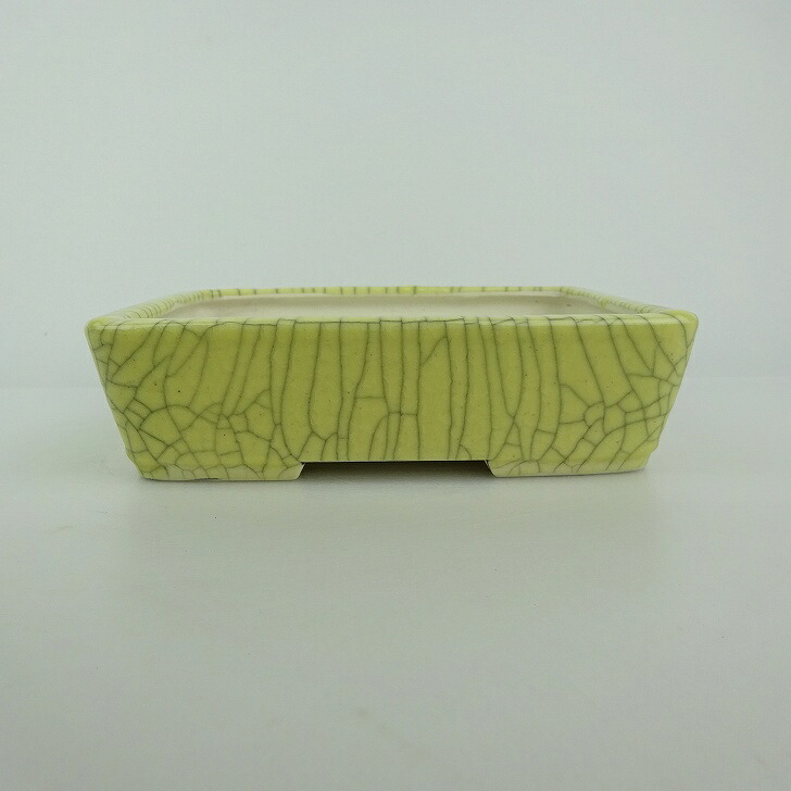 【中古】盆栽鉢 青香 小型 長辺 約 14.9cm 長方鉢 貫入 釉薬 現品 中古鉢 送料無料｜盆栽はニわ 店