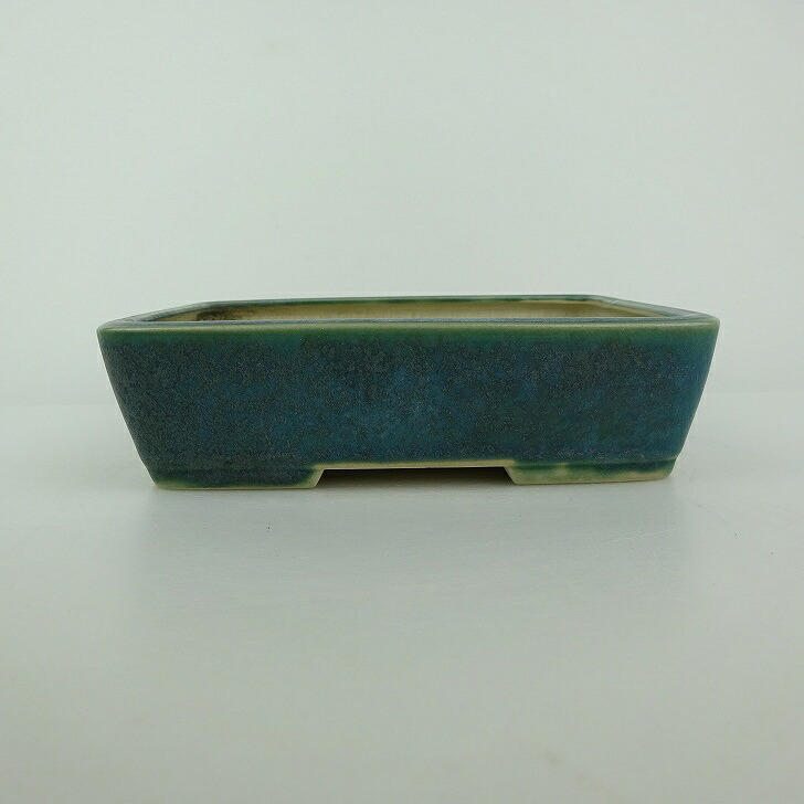 【中古】盆栽鉢 青香 小型 長辺 約 14.8cm 長方鉢 釉薬 現品 中古鉢 送料無料｜盆栽はニわ 店