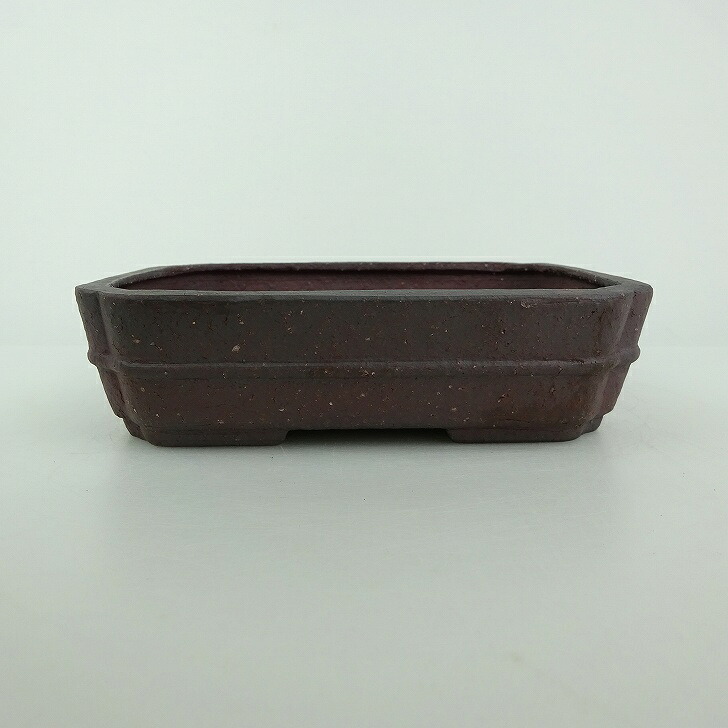【中古】盆栽鉢 青香 小型 長辺 約 14.5cm 長方鉢 隅入 中帯 泥物 現品 中古鉢 送料無料
