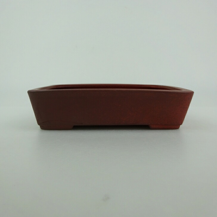【中古】盆栽鉢 青香 小型 長辺 約 11.7cm 長方鉢 泥物 現品 中古鉢 送料無料