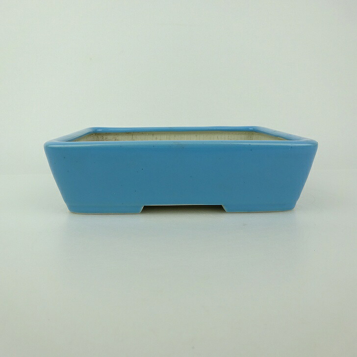 【中古】盆栽鉢 青香 小型 長辺 約 14.5cm 長方鉢 釉薬 現品 中古鉢 送料無料