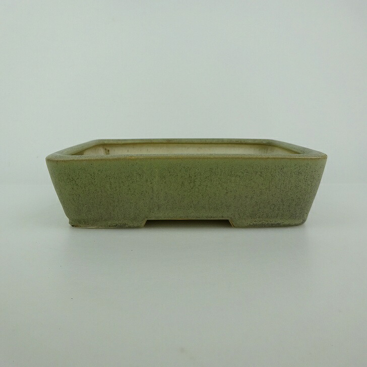 【中古】盆栽鉢 青香 小型 長辺 約 14.5cm 長方鉢 釉薬 現品 中古鉢 送料無料