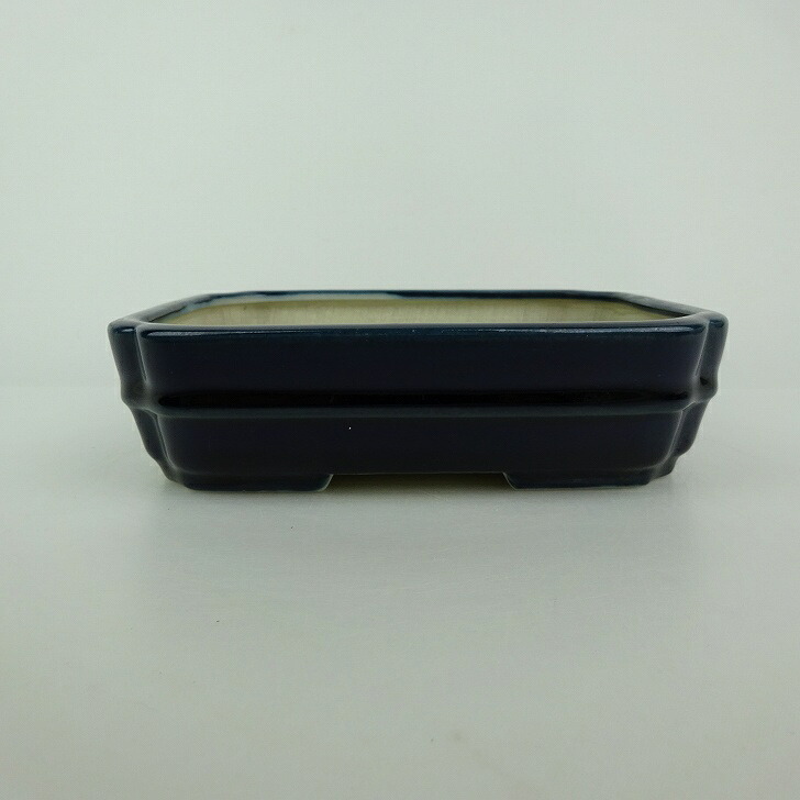 【中古】盆栽鉢 青香 小型 長辺 約 14.5cm 長方鉢 隅入 中帯 釉薬 現品 中古鉢 送料無料｜盆栽はニわ 店