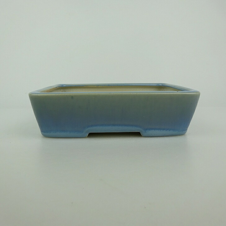 【中古】盆栽鉢 青香 小型 長辺 約 14.3cm 長方鉢 釉薬 現品 中古鉢 送料無料