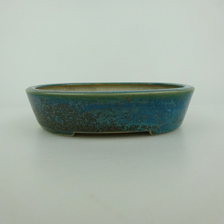 【中古】盆栽鉢 青香 小型 長辺 約 14.8cm 楕円鉢 釉薬 現品 中古鉢 送料無料