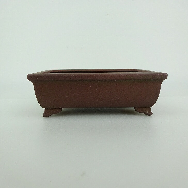 【中古】盆栽鉢 青香 小型 長辺 約 13.3cm 長方鉢 外縁 雲足 泥物 現品 中古鉢 送料無料