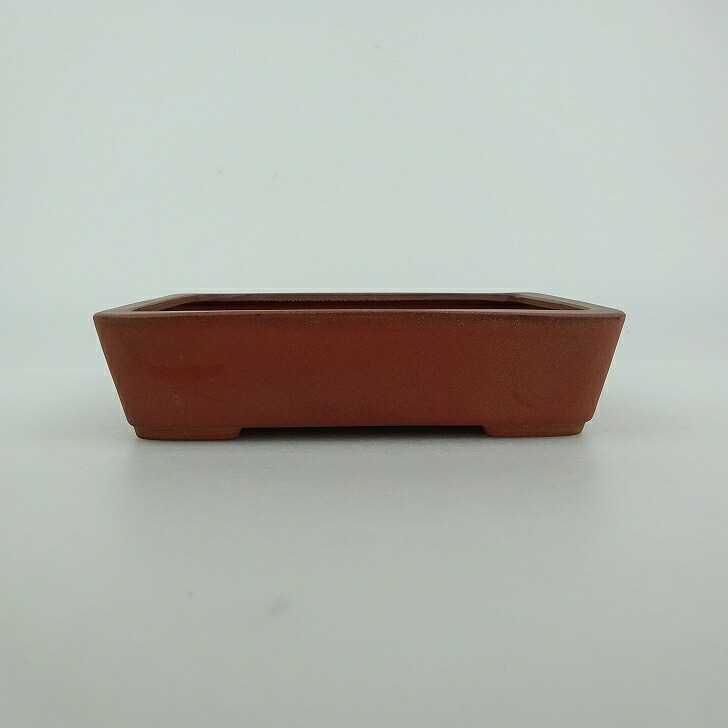【中古】盆栽鉢 青香 小型 長辺 約 11.6cm 長方鉢 泥物 現品 中古鉢 送料無料
