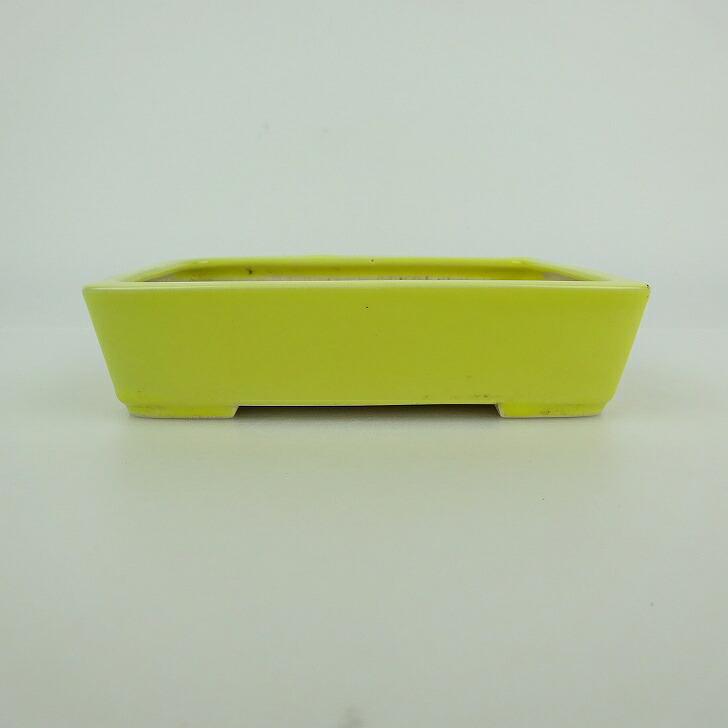【中古】盆栽鉢 青香 小型 長辺 約 12.2cm 長方鉢 釉薬 現品 中古鉢 送料無料