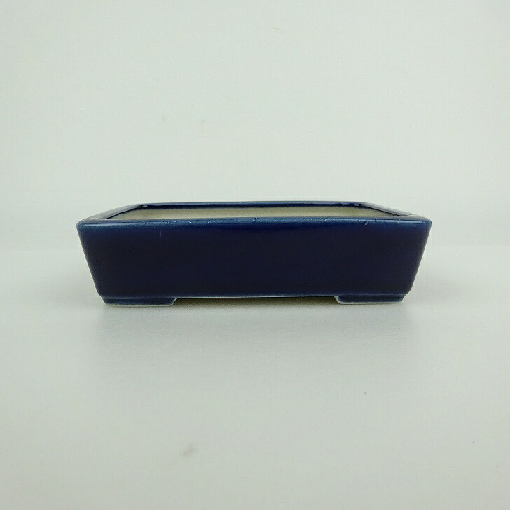 【中古】盆栽鉢 青香 小型 長辺 約 12.1cm 長方鉢 釉薬 現品 中古鉢 送料無料｜盆栽はニわ 店