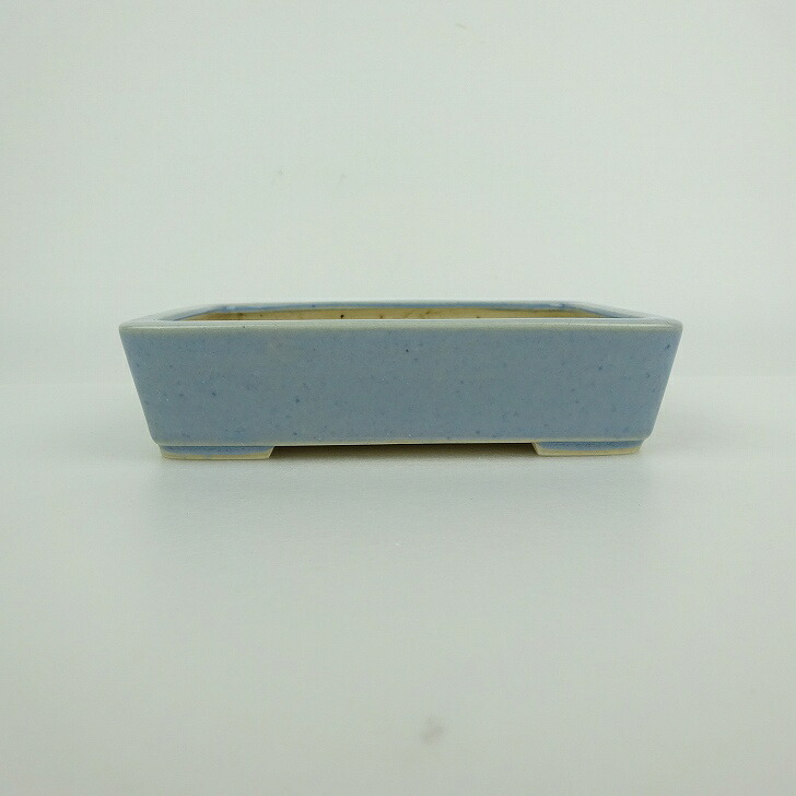 【中古】盆栽鉢 青香 小型 長辺 約 12cm 長方鉢 釉薬 現品 中古鉢 送料無料 5,940円