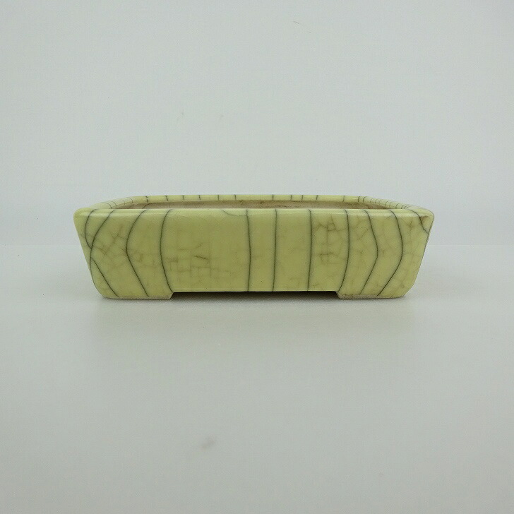 【中古】盆栽鉢 青香 小型 長辺 約 12.3m 長方鉢 貫入 釉薬 現品 中古鉢 送料無料