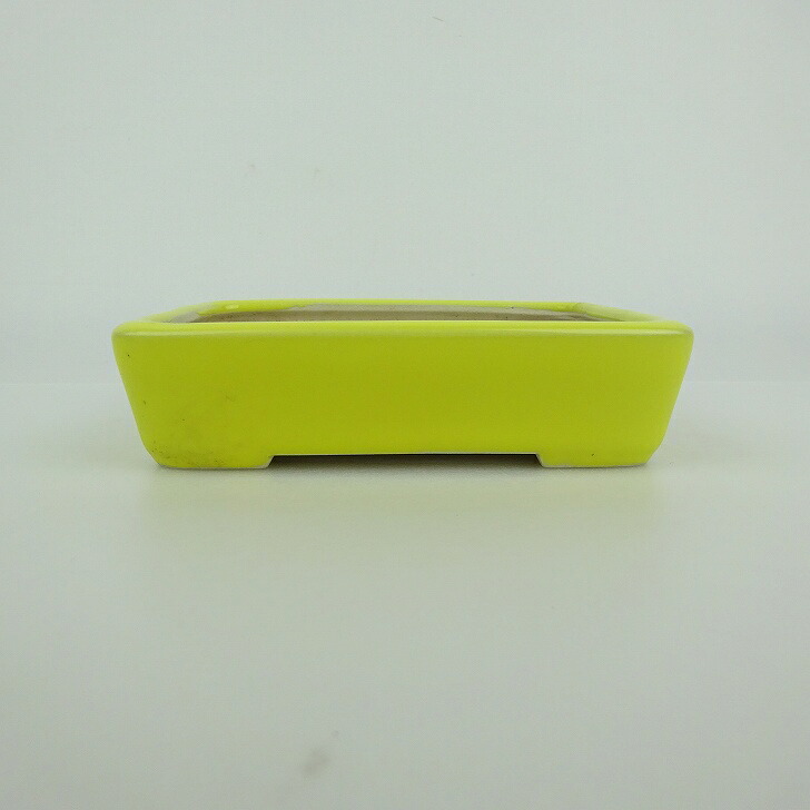 【中古】盆栽鉢 青香 小型 長辺 約 12cm 長方鉢 釉薬 現品 中古鉢 送料無料
