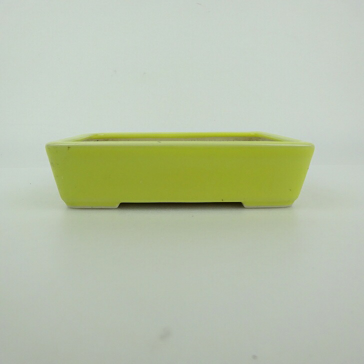 【中古】盆栽鉢 青香 小型 長辺 約 12cm 長方鉢 釉薬 現品 中古鉢 送料無料