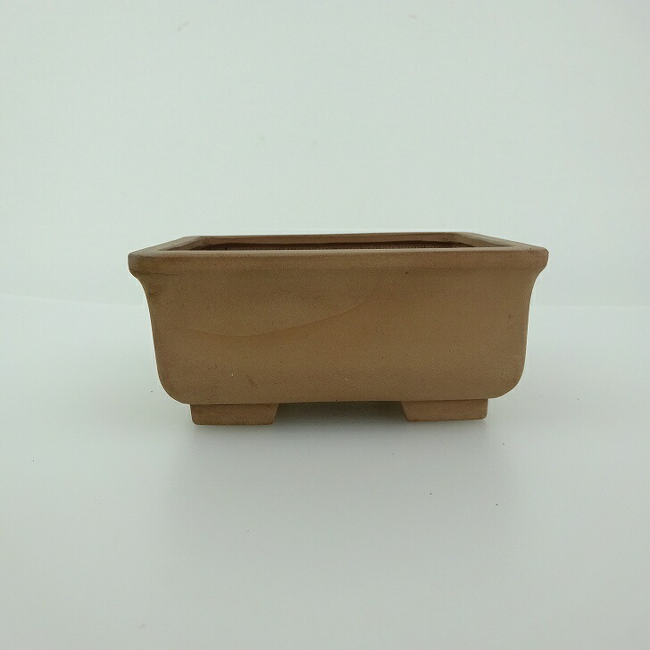 青香　長方　盆栽鉢 楽天市場】【中古】盆栽鉢 青香 小型 長辺 約 11.8cm 長方鉢 釉薬 現品