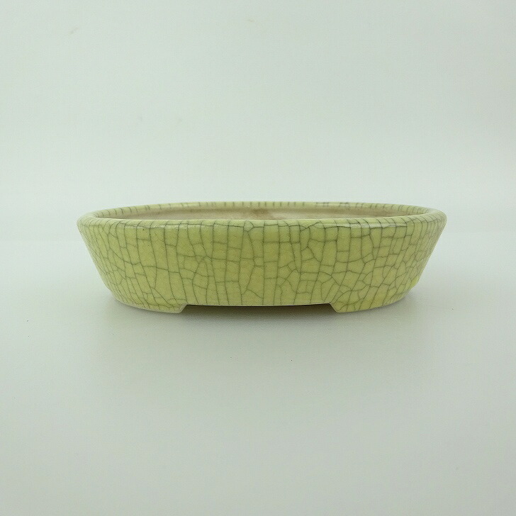 【中古】盆栽鉢 青香 小型 長辺 約 11.9cm 楕円鉢 貫入 釉薬 現品 中古鉢 送料無料