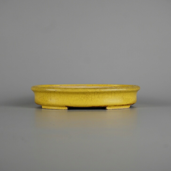 【中古】盆栽鉢 常滑 柴勝 小型 長辺 約 17.2cm 楕円鉢 貫入 黄釉 釉薬 和鉢 現品 中古鉢 送料無料｜盆栽はニわ 店