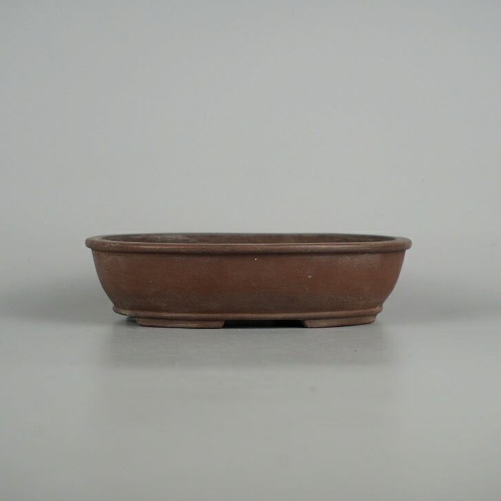 【中古】盆栽鉢 常滑 柴勝 小型 長辺 約 15.3cm 楕円鉢 縁付 下帯 泥物 現品 中古鉢 送料無料