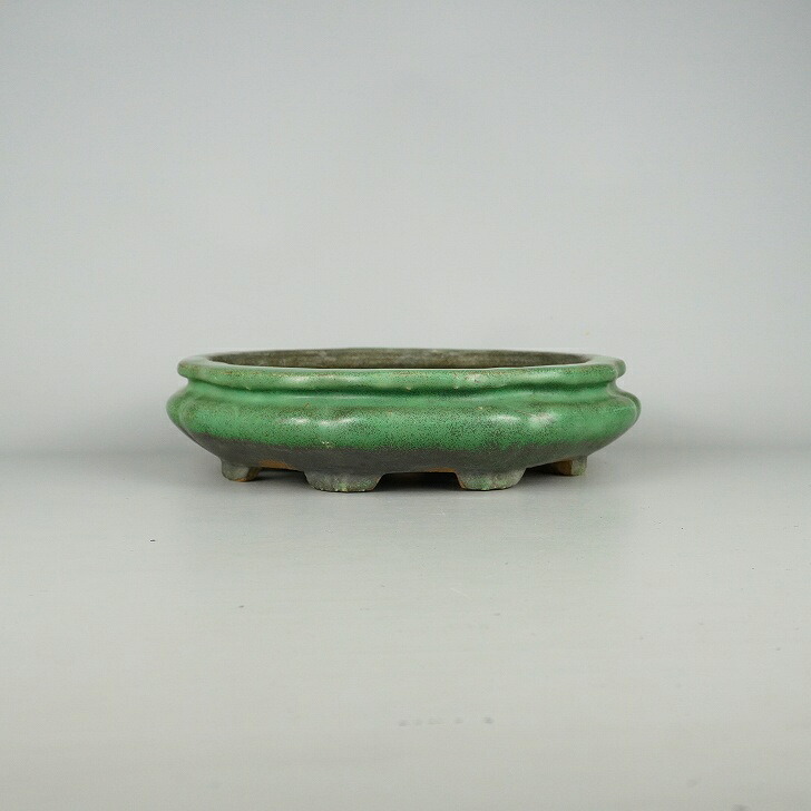 【中古】 盆栽鉢 常滑 秀峰 中型 長辺 約26cm 輪花鉢 袋式 緑釉 釉薬 現品 中古鉢 送料無料