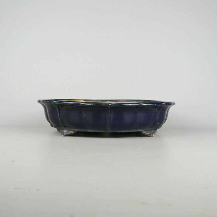 【中古】盆栽鉢 常滑 服部造 中型 長辺 約31.5cm 輪花鉢 釉薬 現品 中古鉢 送料無料