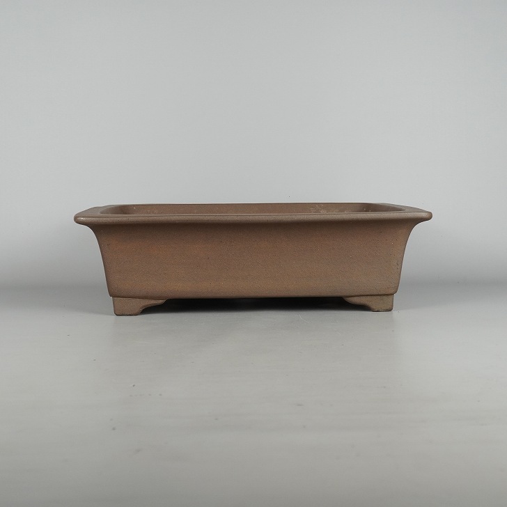 中野裕士　盆栽鉢 bh24062307.jpg