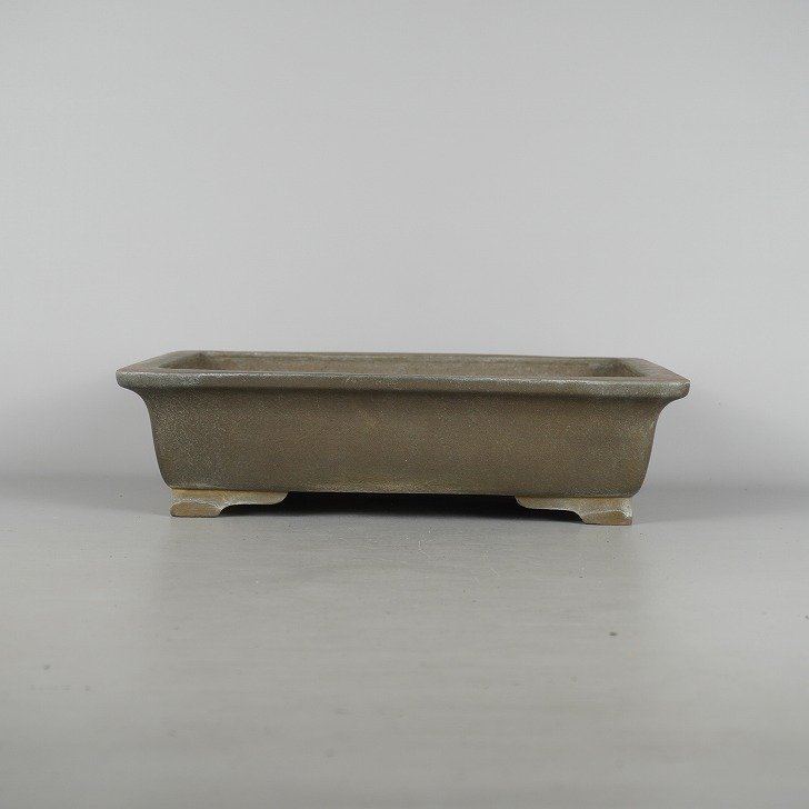 山房（常滑）　盆栽 bh23051607_3.jpg