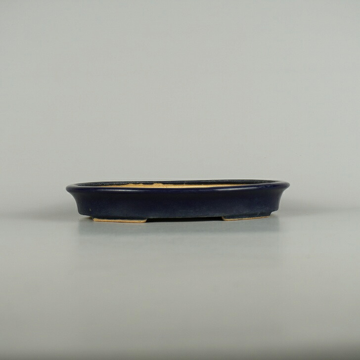 【中古】盆栽鉢 常滑 服部造 中型 長辺 約 22.7cm 楕円鉢 外縁 釉薬 現品 中古鉢 送料無料