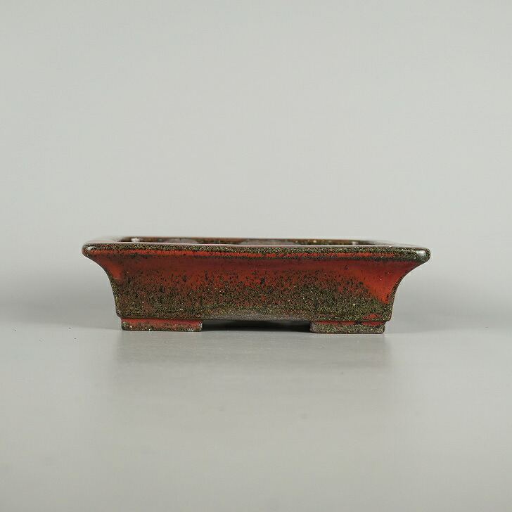【中古】盆栽鉢 常滑 珠康三 中型 長辺 約 21cm 長方鉢 釉薬 和鉢 現品 中古鉢 24,211円