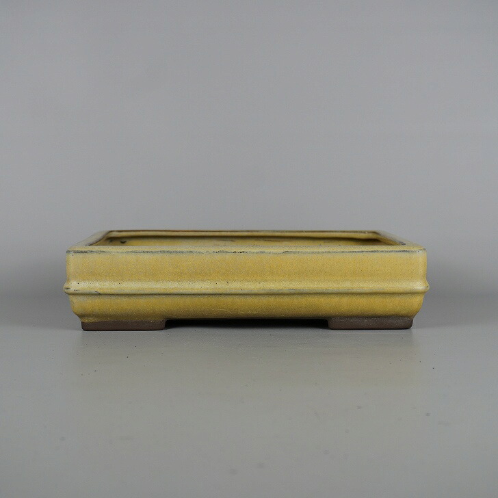 【中古】盆栽鉢 陶翠 中型 長辺 約 22.5cm 長方鉢 中帯 釉薬 和鉢 現品 中古鉢 送料無料|盆栽はニわ 店