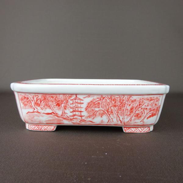 楽天市場】盆栽鉢 高山画 ゆうき祥石ボデー 赤絵山水図 長方鉢 新品