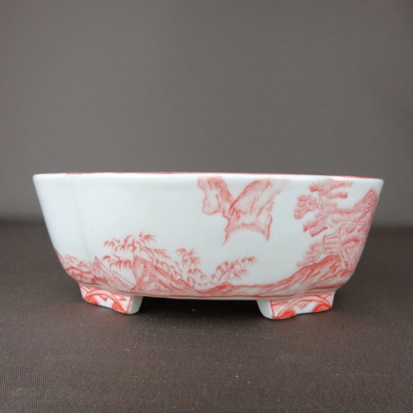 楽天市場】盆栽鉢 高山画 ゆうき祥石ボデー 赤絵山水図 長方鉢 新品