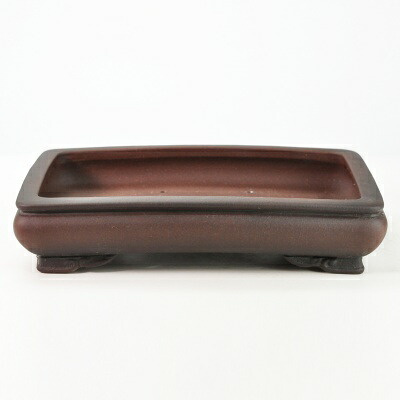 \最大10%OFFクーポン!7/25迄/紫泥袋型雲足 盆栽鉢 11号 鉢幅33cm×奥行き22cm×高さ7cm 大型鉢 大型盆栽 大品盆栽 泥物|盆栽妙 店
