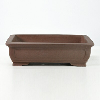 \最大10%OFFクーポン!7/25迄/紫泥長方撫角 盆栽鉢 11号 鉢幅35cm×奥行き26cm×高さ10cm 大型鉢 大型盆栽 大品盆栽 泥物|盆栽妙 店