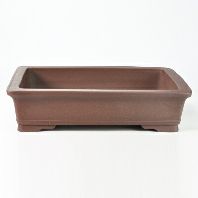 楽天市場】鳥泥長方中浅 盆栽鉢17号 鉢幅51cm×奥行き39cm×高さ9.5cm