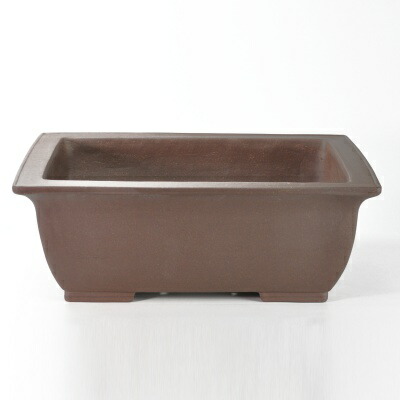 楽天市場】鳥泥長方中浅 盆栽鉢17号 鉢幅51cm×奥行き39cm×高さ9.5cm