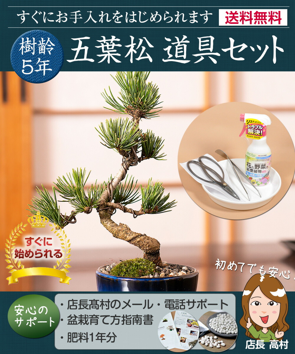 1687_top2024.jpg?thum=166&