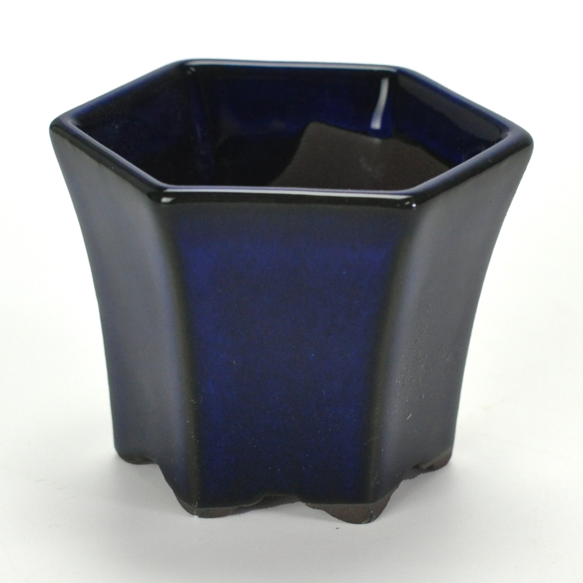 楽天市場】盆栽素材 黒松ミニミニ 直幹 盆栽 ミニ盆栽 松柏 松 : 盆栽