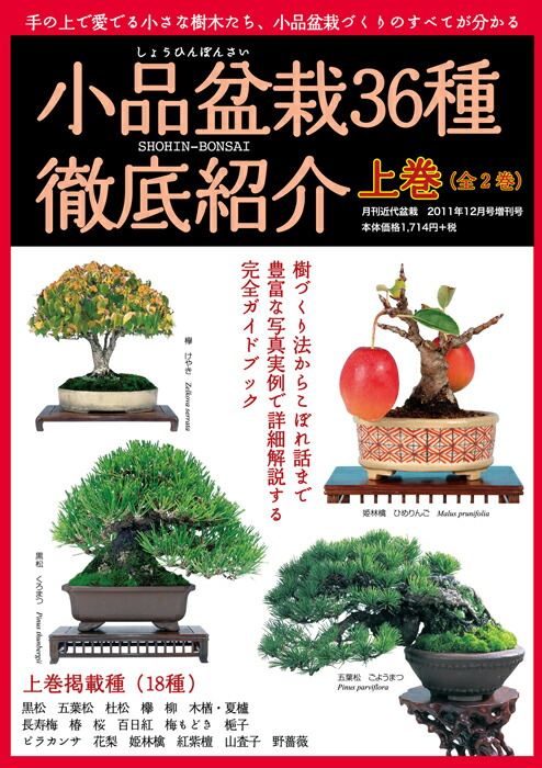 楽天市場】書籍 本 盆栽専門誌「盆器大図鑑 下巻」盆栽鉢 図鑑 写真集 名品集 落款 参考書 鉢合わせ 作家 古窯 中国古鉢 常滑 現代小鉢  【送料無料】 : BONSAI 彩都 楽天市場店