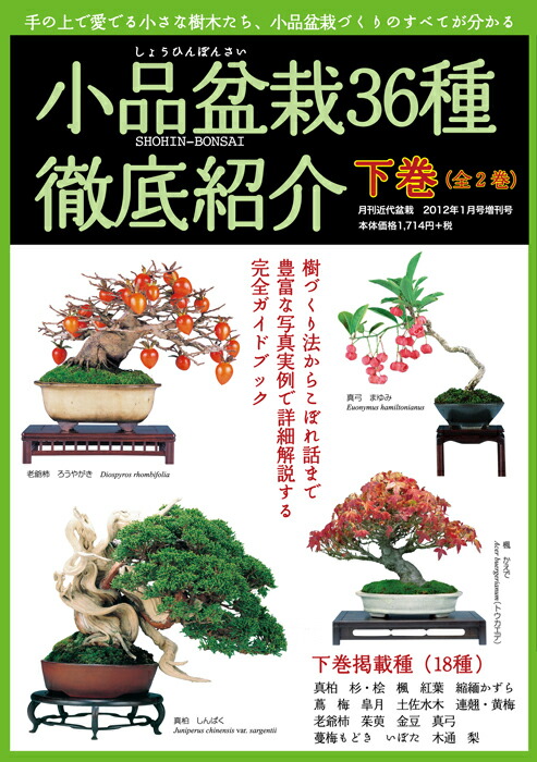 盆栽素材大変身コツのコツ | 盆栽、盆栽書籍、盆栽鉢の通販