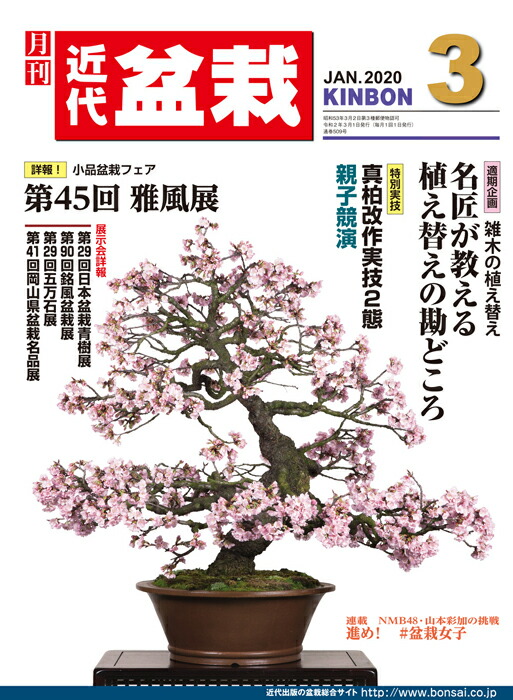さつき研究 2017年4月号 (発売日2017年03月04日) | 雑誌/定期