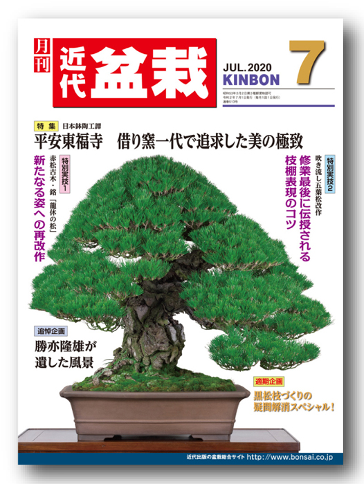【楽天市場】月刊「近代盆栽」2019年１月号 : BONSAI 彩都 楽天市場店