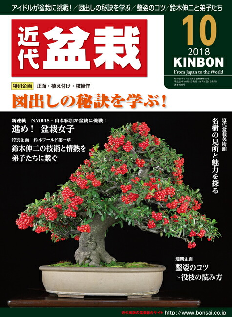 楽天市場 月刊 近代盆栽 18年10月号 Bonsai 彩都 楽天市場店