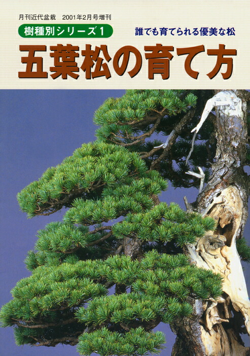 楽天市場】書籍 本 盆栽専門誌「盆栽素材大変身コツのコツ」創作