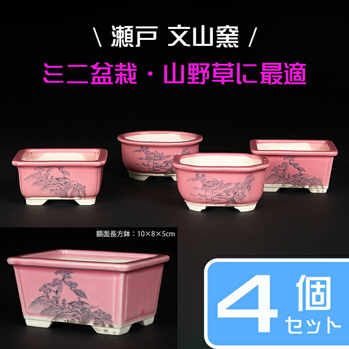 楽天市場】盆栽鉢 植木鉢 「瀬戸焼文山窯色絵鉢4点セット・黄」 色鉢