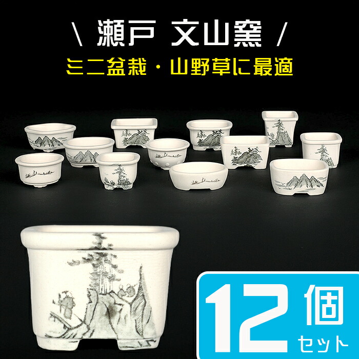 小鉢　小品鉢　ミニチュア盆栽に 手のひらサイズの小さな鉢に宿る美しく可憐な命～ミニ盆栽～｜山崎