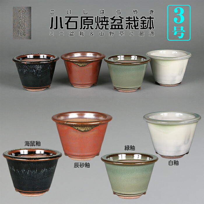 楽天市場】盆栽鉢 小石原焼7号胴縄丸鉢3点セット 山草鉢 植木鉢