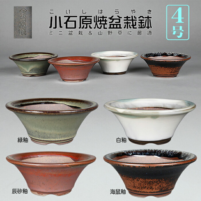 楽天市場】盆栽鉢 九谷焼 色華小紋 4号 幅12.5cm×高さ7.8cm 陶器鉢