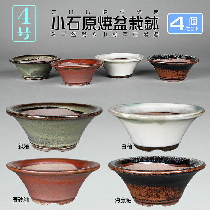 楽天市場】盆栽鉢 「瀬戸焼文山窯色豆鉢6点セット」 植木鉢 色鉢 豆鉢